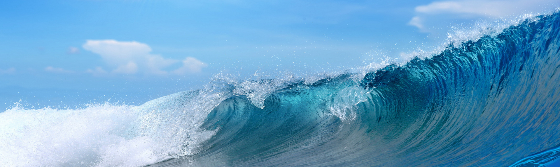 Z6·尊龙「中国」官方网站