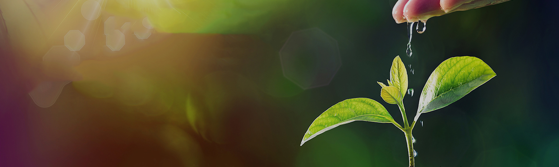 Z6·尊龙「中国」官方网站