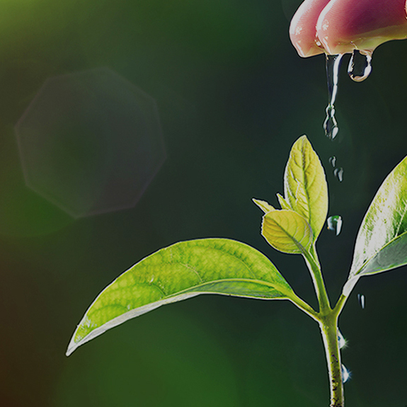 Z6·尊龙「中国」官方网站